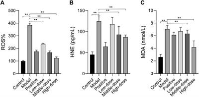 Anti-Autophagy Mechanism of Zhi Gan Prescription Based on Network Pharmacology in Nonalcoholic Steatohepatitis Rats